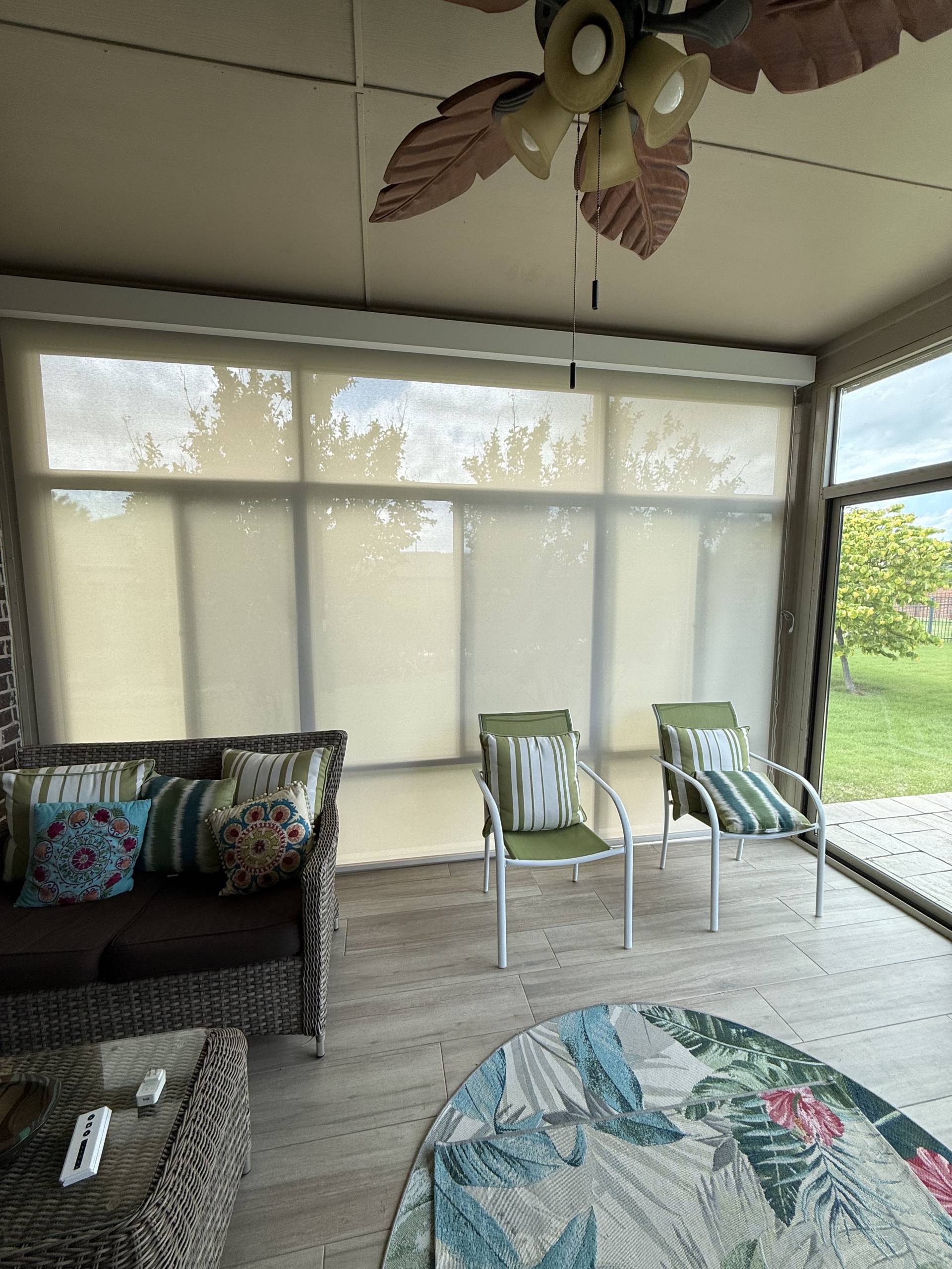 Motorized Screens